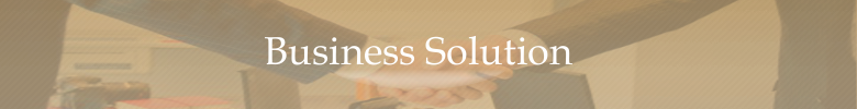 Business Solution Section