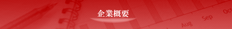 企業概要タイトル